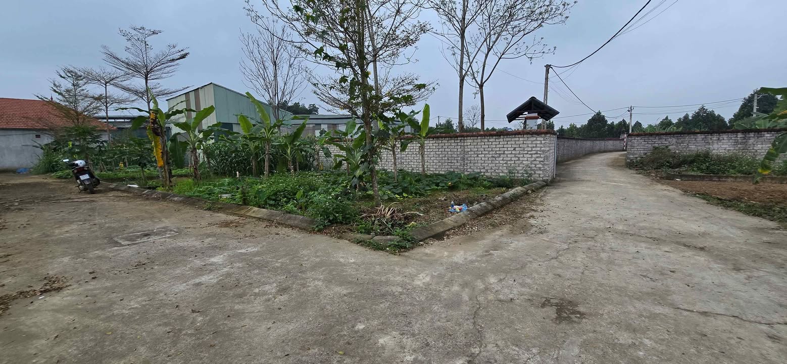 Đất nền Hòa Lạc 96m² giá hơn 2 tỷ - Sổ đỏ chính chủ, lô góc đẹp!