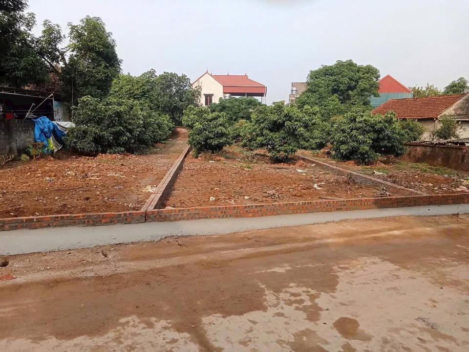 Đất nền Ba Vì 200m² - Sổ đỏ chính chủ, giá đầu tư 1.x tỷ