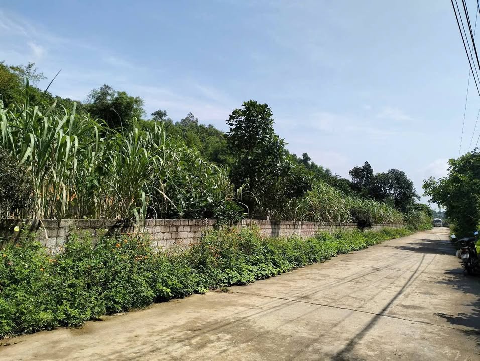 Đất nền Ba Vì 365m² - Tiềm năng tăng giá, trục chính nghỉ dưỡng