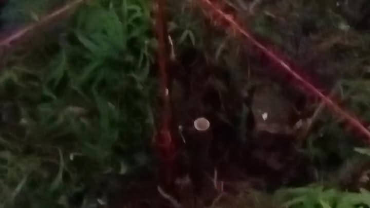 Đất trồng cây 86m² tại Việt Trì - Gần BV Quốc tế Âu Lạc