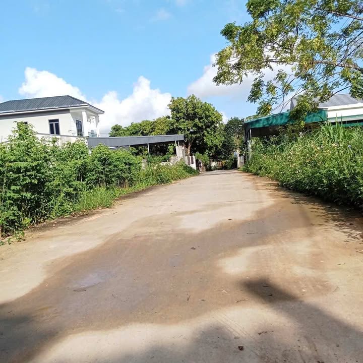 Đất Vàng Xã Yên Sơn, Tam Điệp - 110m² Gần Trường Học, Đường Thông, Giá Tốt