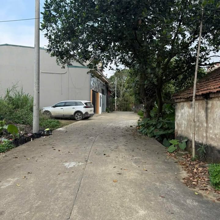 Đất nền 72m² Phường Tây Sơn, Tam Điệp - Giá tốt đầu tư