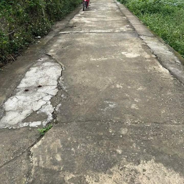 Đất nền Ninh Giang 456m² TP Hoa Lư - Hai mặt tiền, chia lô sinh lời!