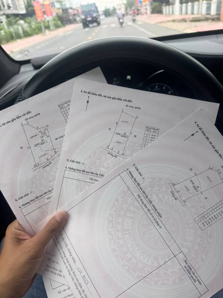 Đất Nền Hàm Chính 1000m² - Giá Đầu Tư Chỉ 2xx Triệu - Sổ Đỏ Sẵn