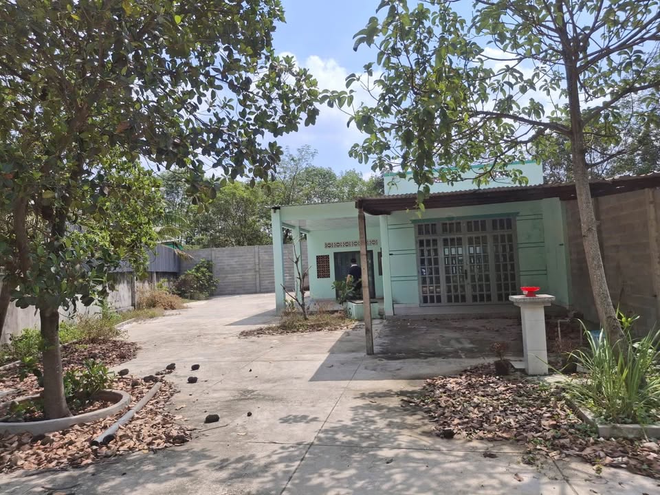 Đất nền Phú Hòa Đông Củ Chi 540m² - Sổ đỏ chính chủ, tiềm năng sinh lời!