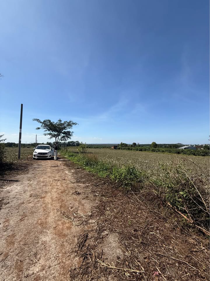 Bán Đất Thổ Cư Phường Diên Hồng, Pleiku 155m² - Chỉ 4xx Triệu