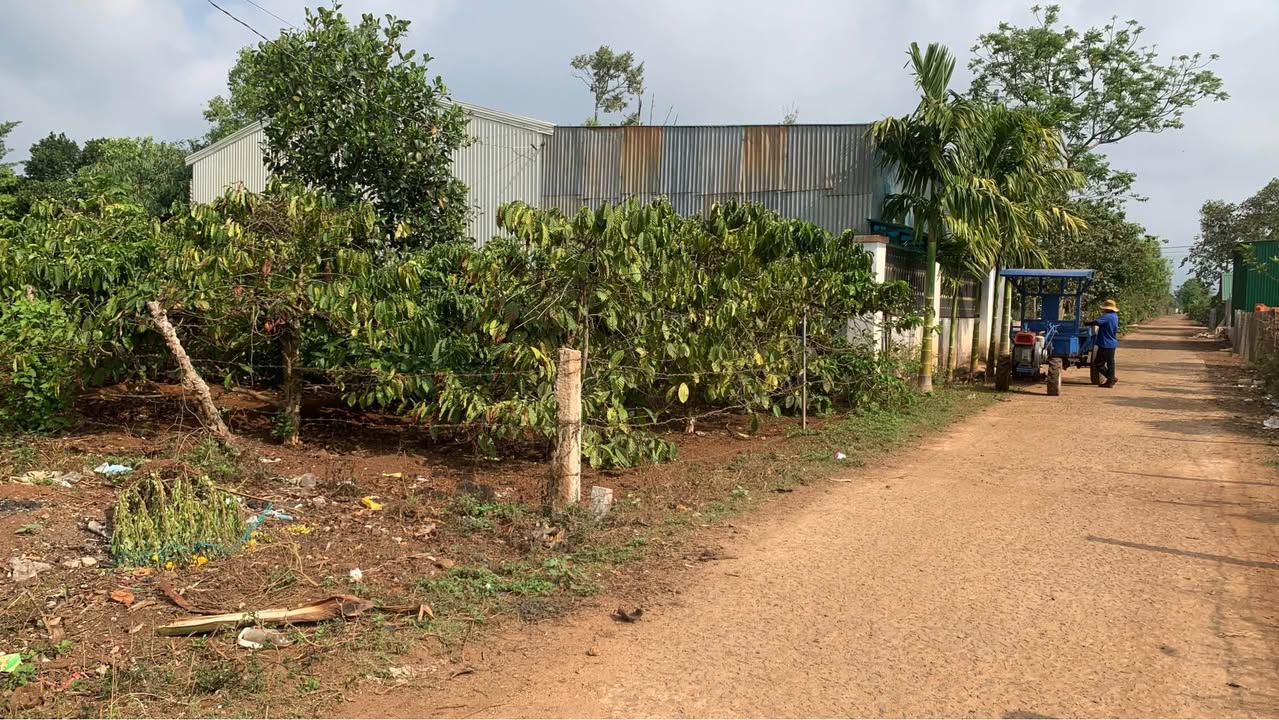 Đất Biển Hồ Pleiku 125m² - Sổ Đỏ, Sẵn Sàng Xây Dựng