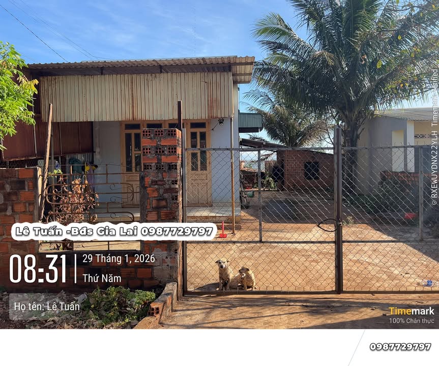 Nhà 140m² Thổ Cư Hẻm Xe Hơi Chư Sê - Giá 780 Triệu