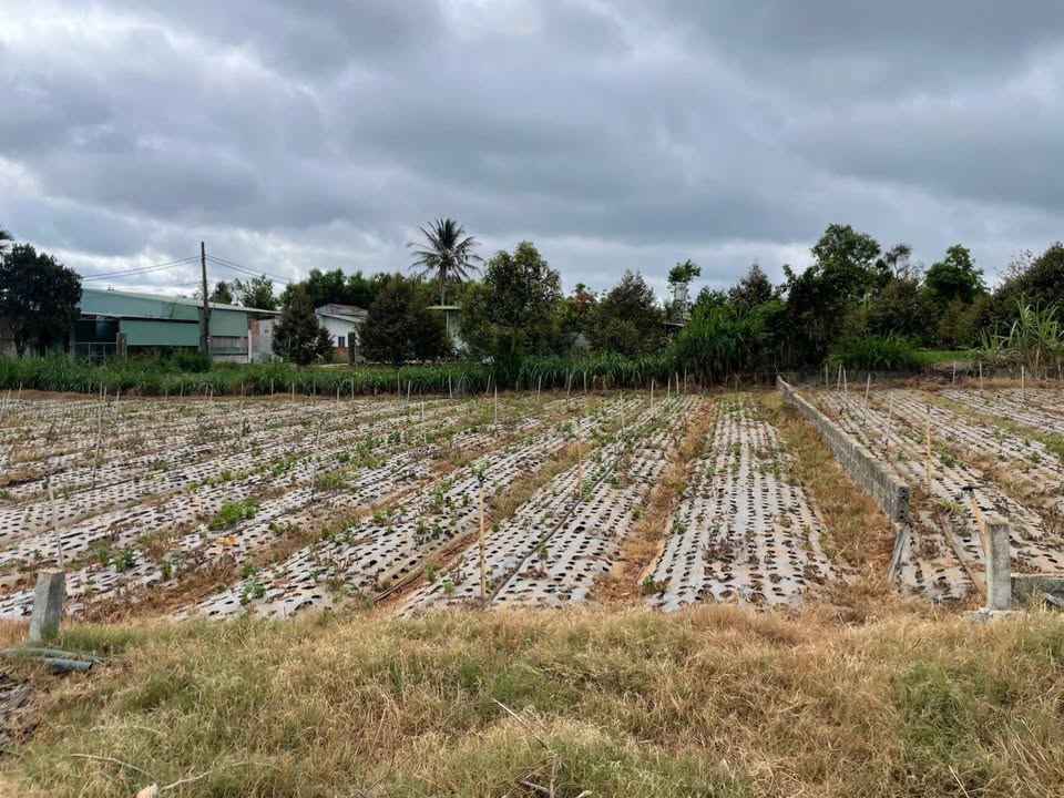 Đất nền Phạm Văn Hai, Pleiku 130m² - Sổ hồng riêng, giá chỉ 4xx triệu