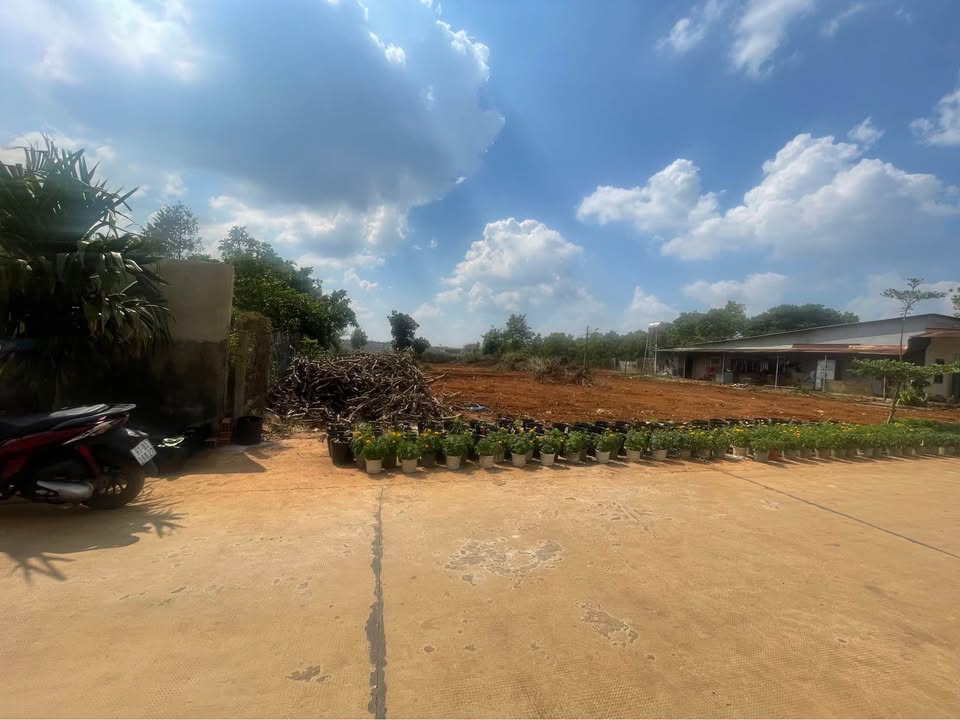 Đất nền Nguyễn Tuân Pleiku 170m² chỉ 9xx triệu - Đất thổ cư 100%