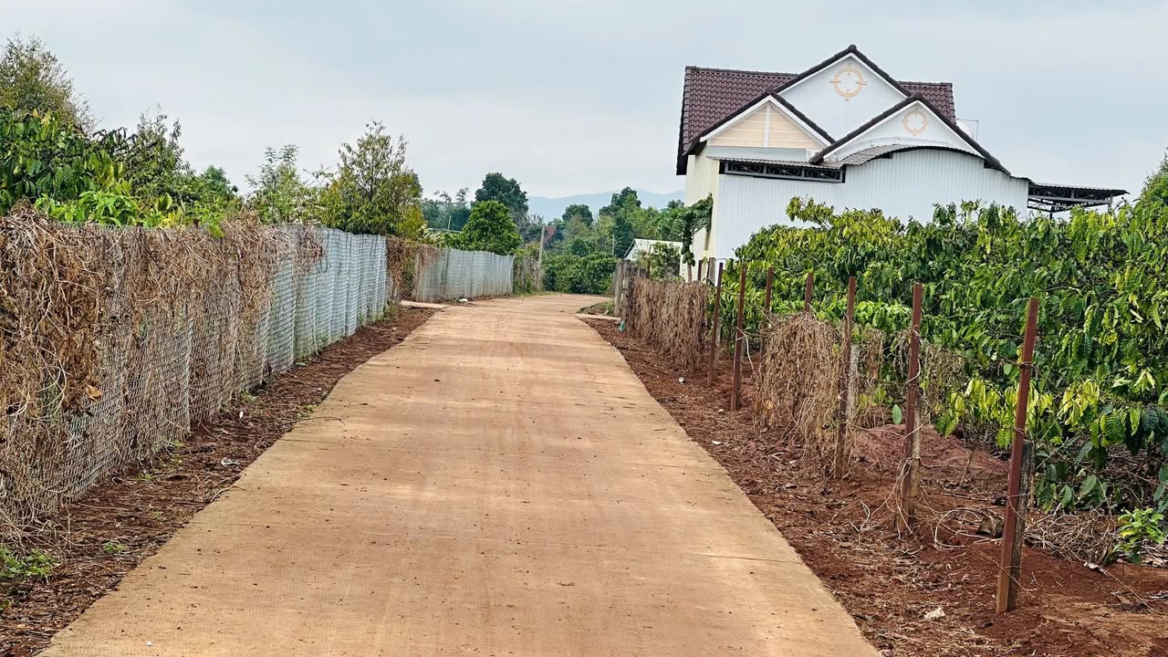 Đất nền Hẻm Trường Sơn, Pleiku 154m² - Đất thổ cư 100%