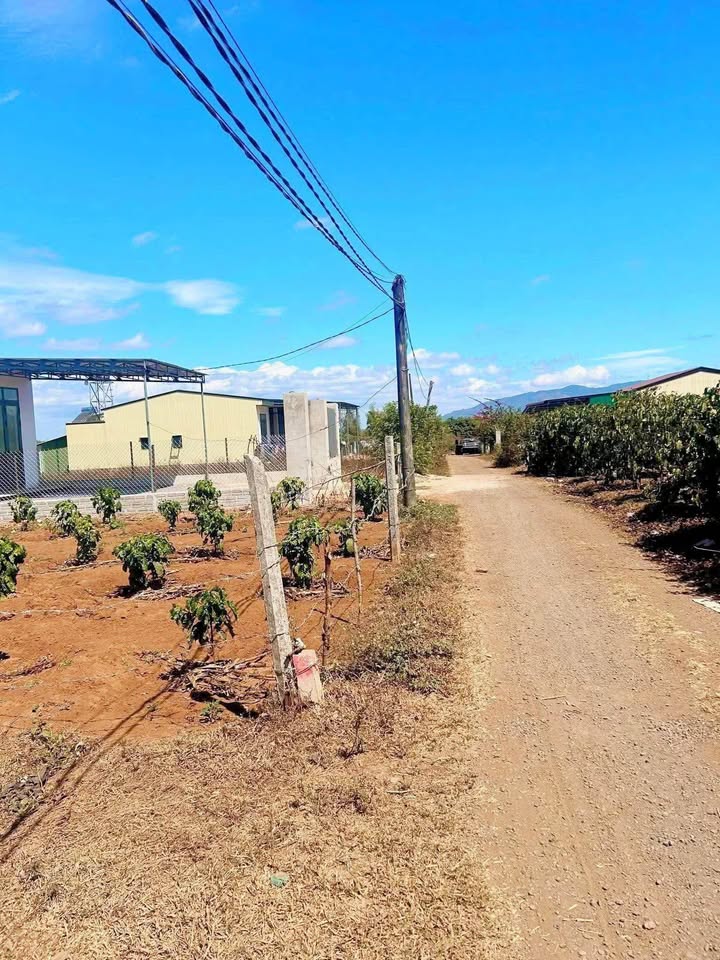 Bán Gấp 3 Lô Liền Kề 5x35m Sổ Đỏ Thổ Cư Mặt Tiền Trần Văn Ơn, Pleiku