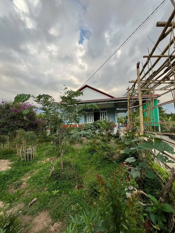 Nhà sân vườn Lộc Châu, Bảo Lộc 559m² - Ô tô vào tận nhà!