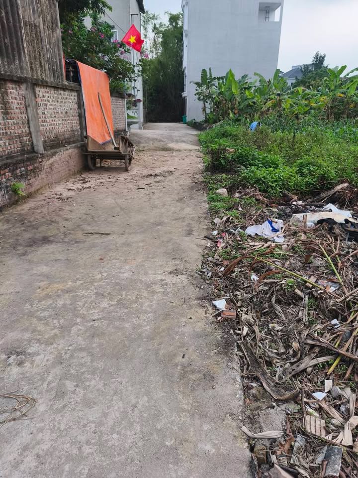 Đất nền Phụng Châu Chương Mỹ 80m² - Giá đầu tư tốt!