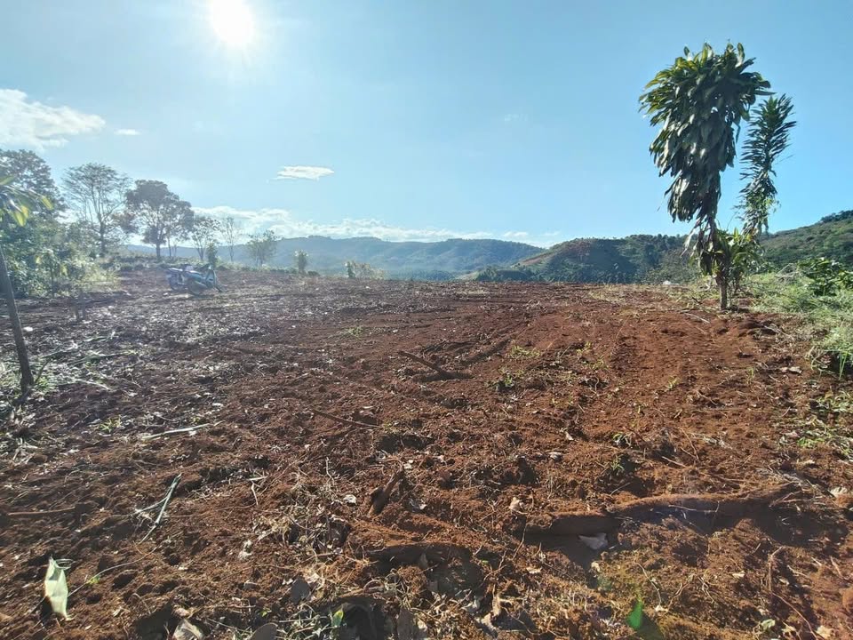 Đất nền Lộc Bắc 10.000m² mặt tiền ĐT725 - Pháp lý rõ ràng, sổ đỏ trao tay!