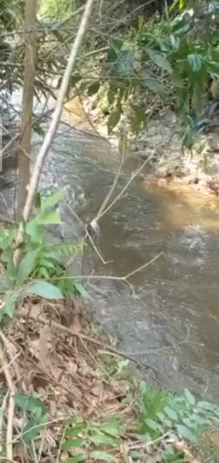 Đất nền Phước Đông, Gò Dầu 312m² 1 tỷ - Đất thổ cư 100%