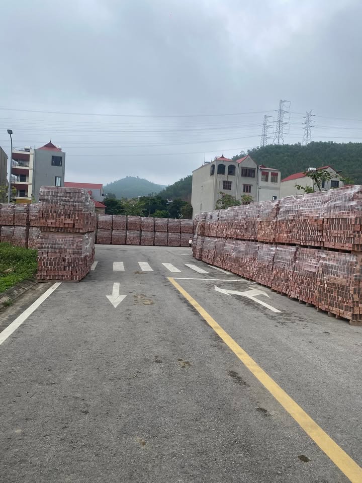 Đất Lô Góc Việt Yên 100m² - Giá Đầu Tư 3.8 Tỷ, Sẵn Sàng Chốt