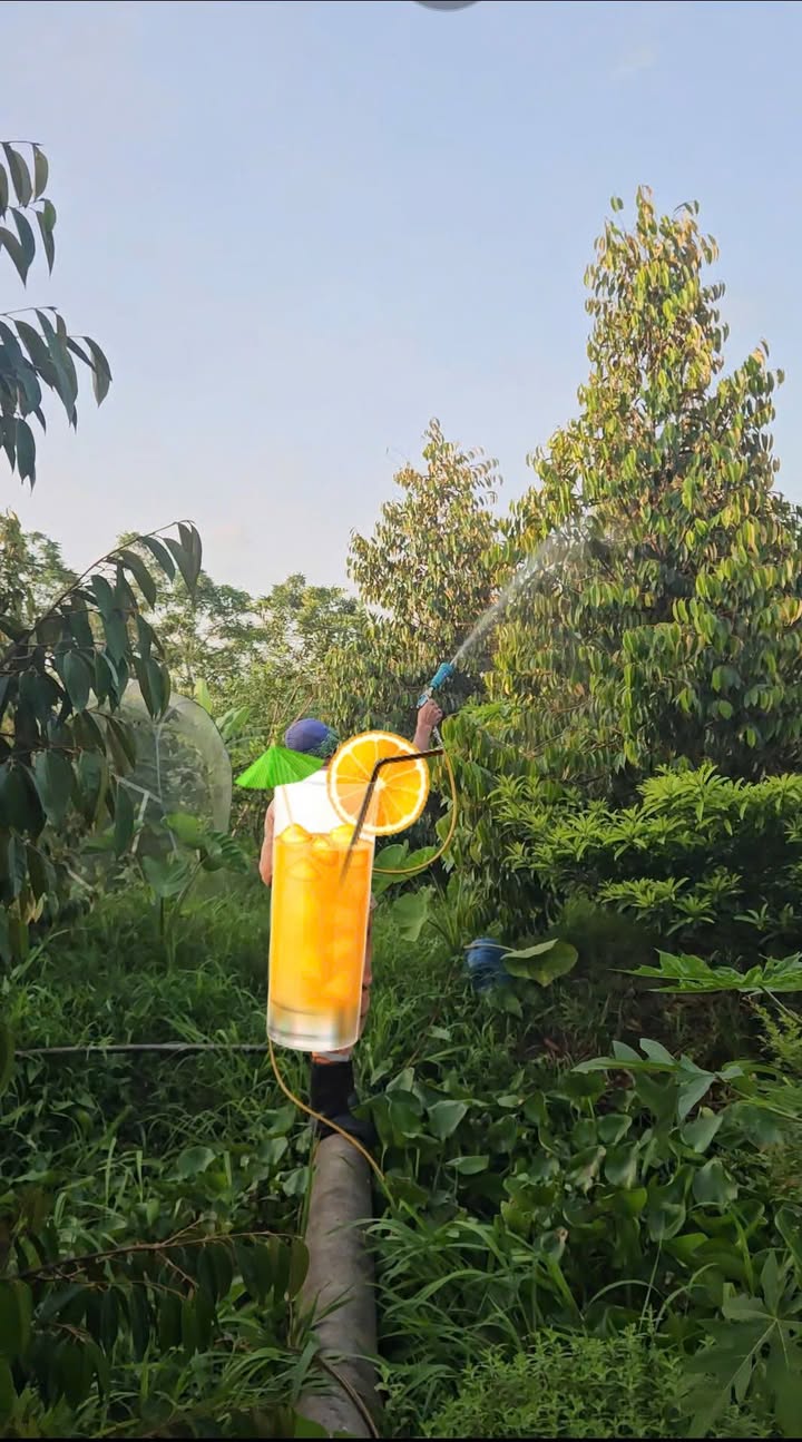 Đất vườn Trương Vĩnh Nguyên Cần Thơ 2700m² 4.59 tỷ - Sổ đỏ