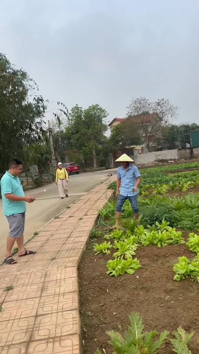 Bán Đất Lô Góc 161m² Sổ Đỏ Thổ Cư - Giáp KCN Nhuận Trạch, Lương Sơn