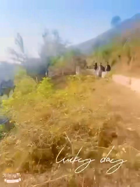 Đất nền Ngọc Vừng, Vân Đồn 890m² - Sổ đỏ chính chủ!