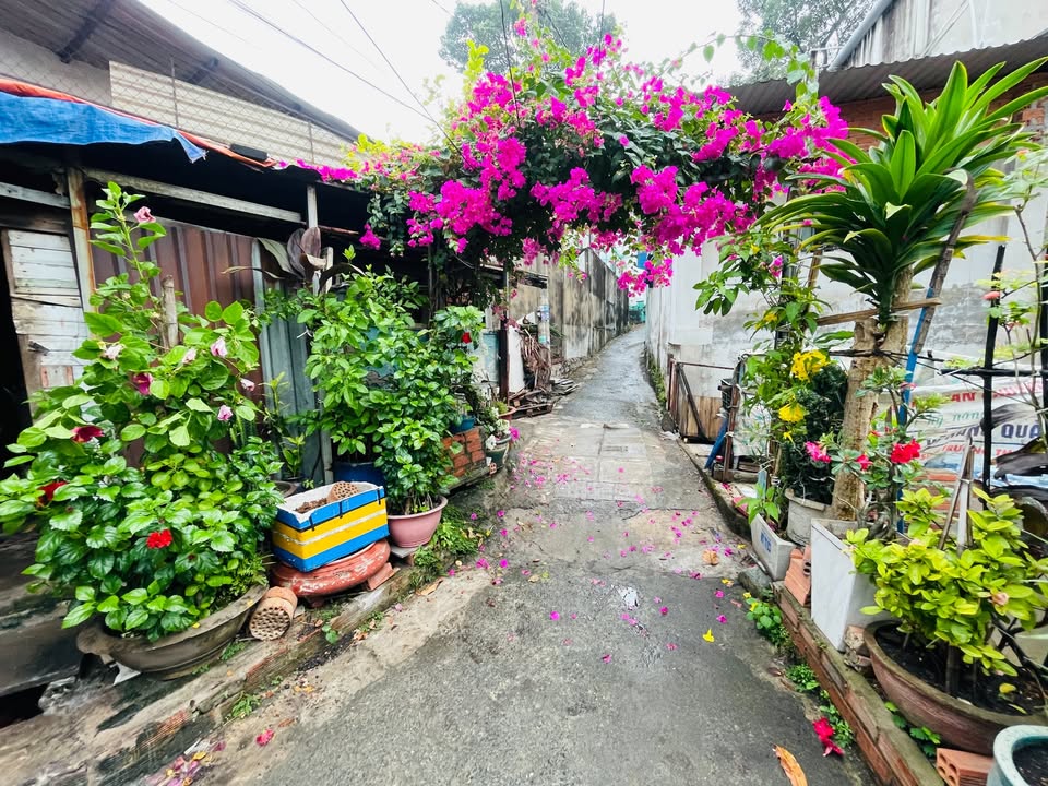 Nhà C4 213m² Linh Tây, Thủ Đức - Chính chủ bán gấp 6.5 tỷ, nở hậu tài lộc