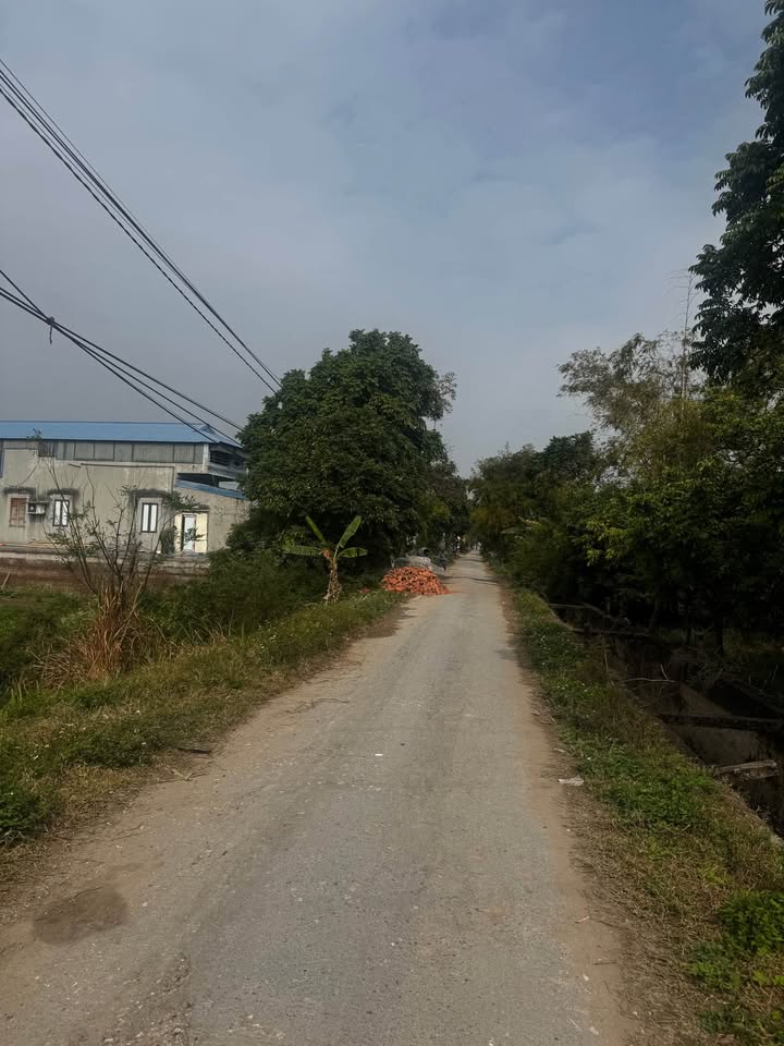 Đất nền TP Nam Định 125m² - Đường to ô tô, tiềm năng tăng giá!