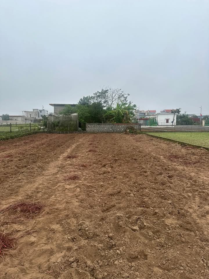 Bán Đất Nền Giao Phong, Nam Định - 1000m² Sổ Đỏ, Gần Chợ 50m