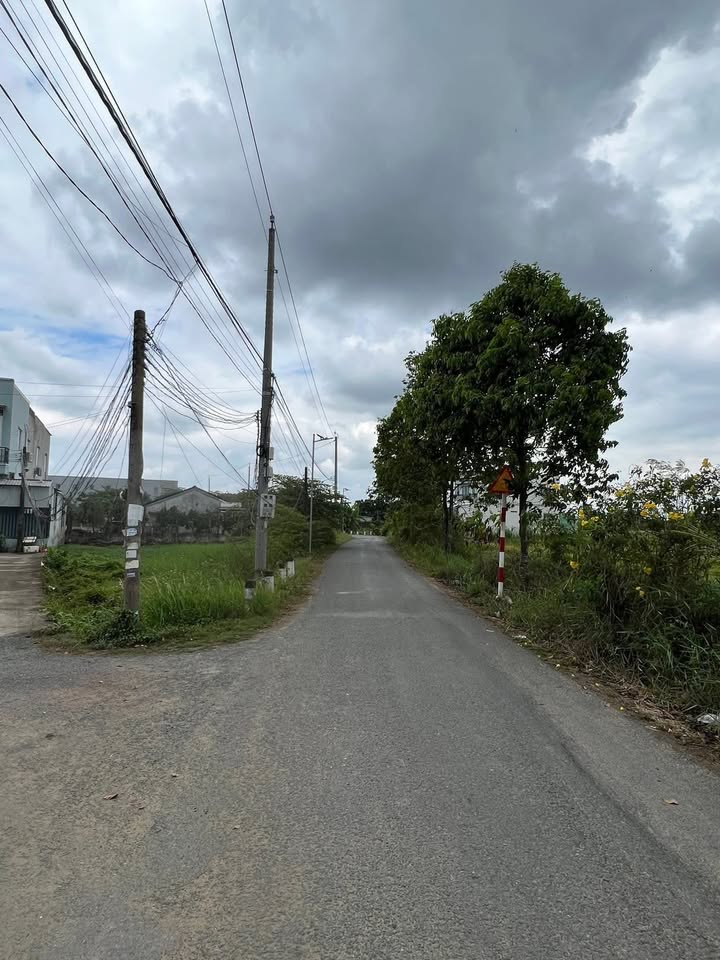 Nhà Phố Gần chợ Hưng Long Bình Chánh 158m² - Mặt tiền kinh doanh đắc địa!