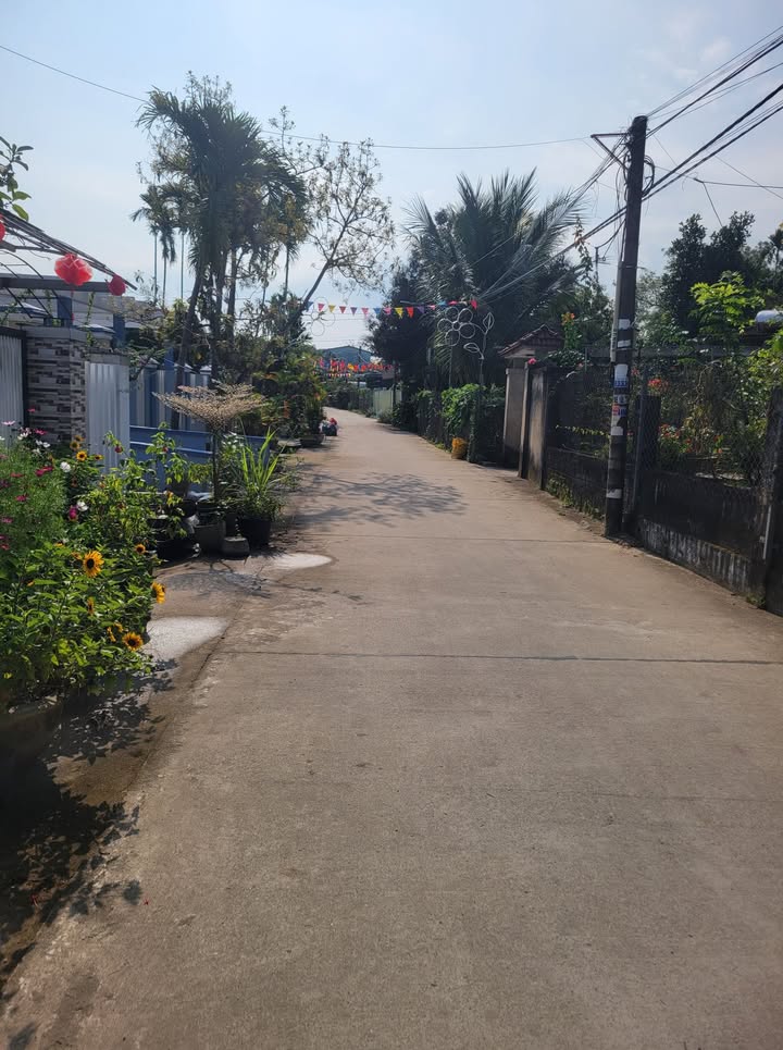 Đất nền Phạm Như Xương, Ngũ Hành Sơn 125m² - Tiềm năng tăng giá