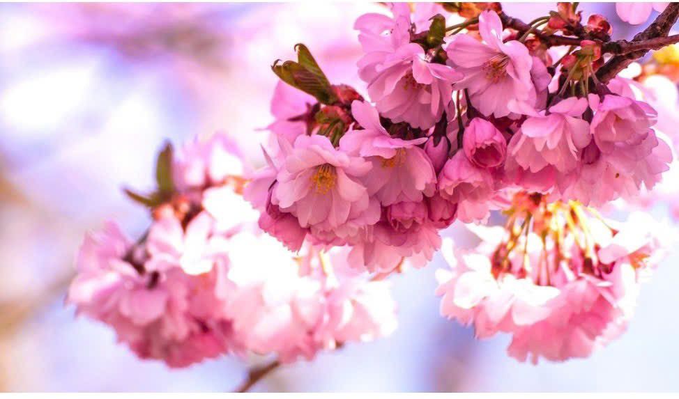 Căn hộ Giải Phóng Hoàng Mai 38m² giá 4 tỷ - Sổ đỏ sẵn sàng!