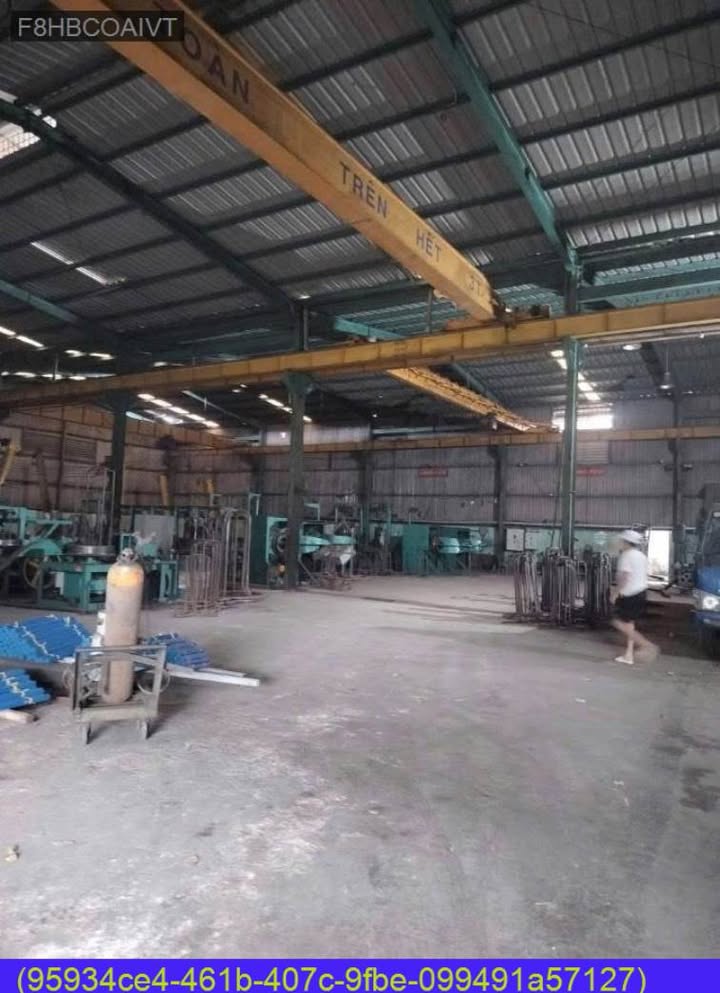 Kho Xưởng Bình Chánh 1000m² - Mặt tiền Thanh Niên, Hoạt động ngay!