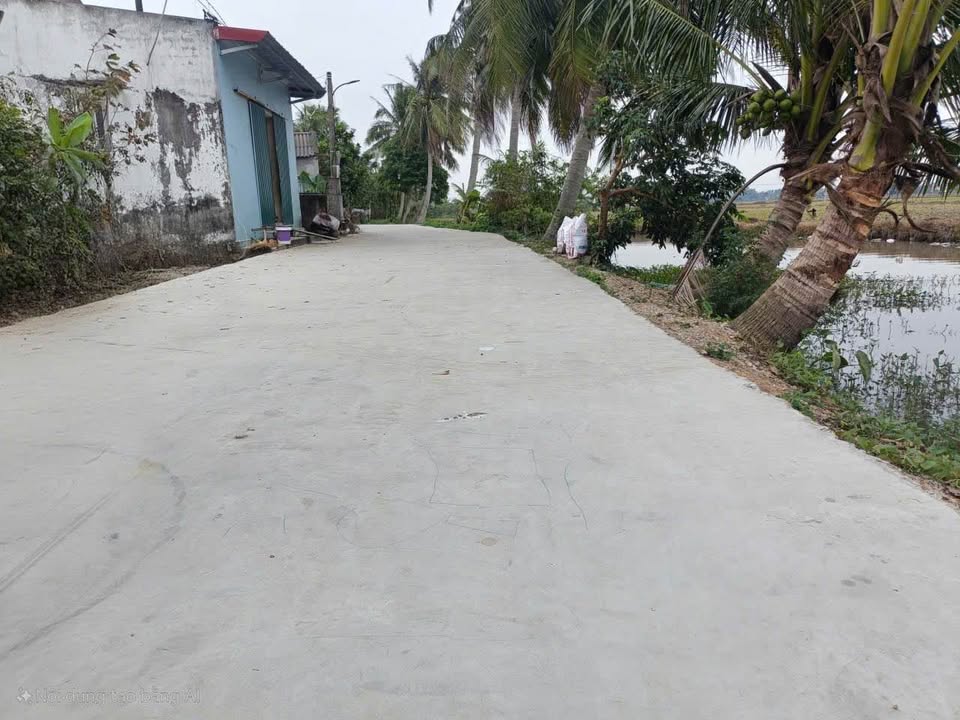 Đất nền Quảng Văn, Thanh Hóa 150m² - Cắt lỗ sâu, hướng Đông Nam