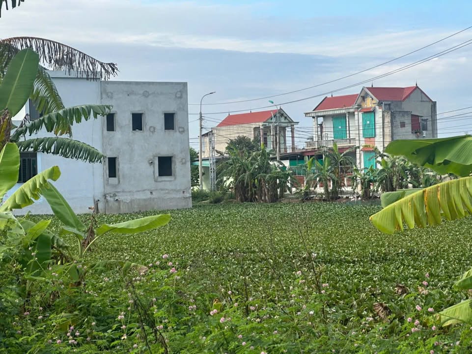 Bán đất Đông Minh TP. Thanh Hóa 175m² giá 1.2 tỷ - Sổ đỏ chính chủ