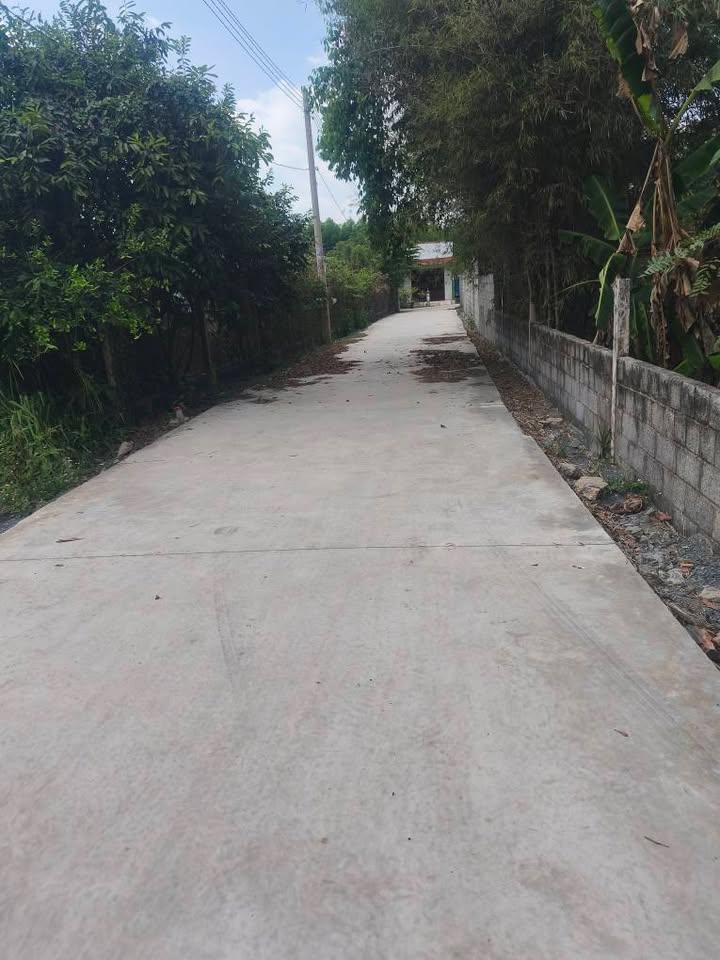 Nhà Tân Triều Biên Hòa 90m² chỉ 1.35 Tỷ - Giá Tốt Hiếm Có!