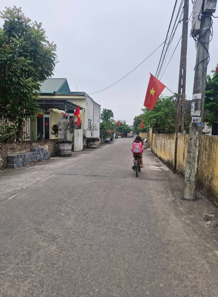 Bán đất Yên Nhân, Ninh Bình 98m² - Hướng Tây, Đường ô tô tránh