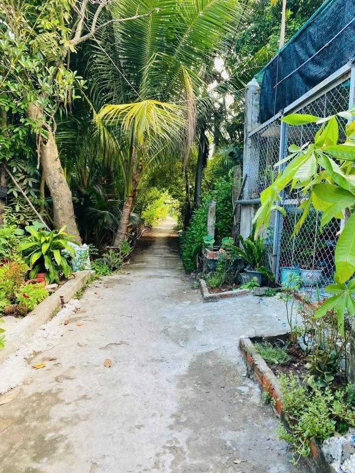 Đất vườn Quới Sơn 400m² giá 650 triệu - Sinh thái xanh