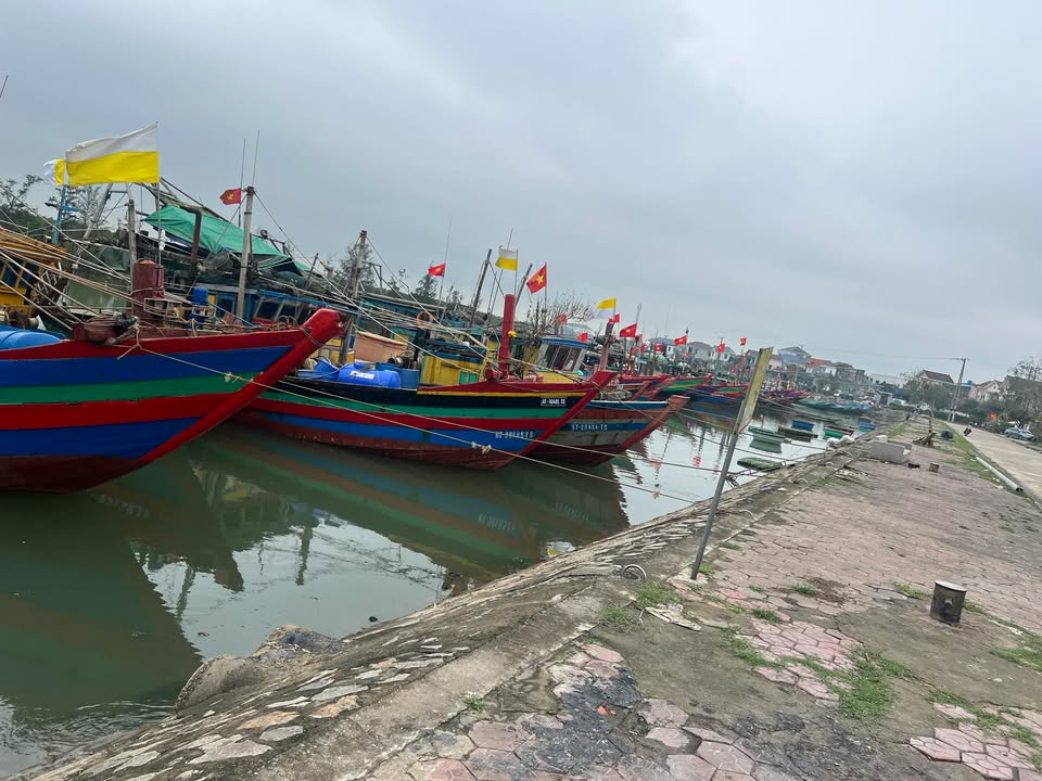 Đất nền Trần Phú Hà Tĩnh 145m² - Sổ đỏ chính chủ, xây dựng tự do!