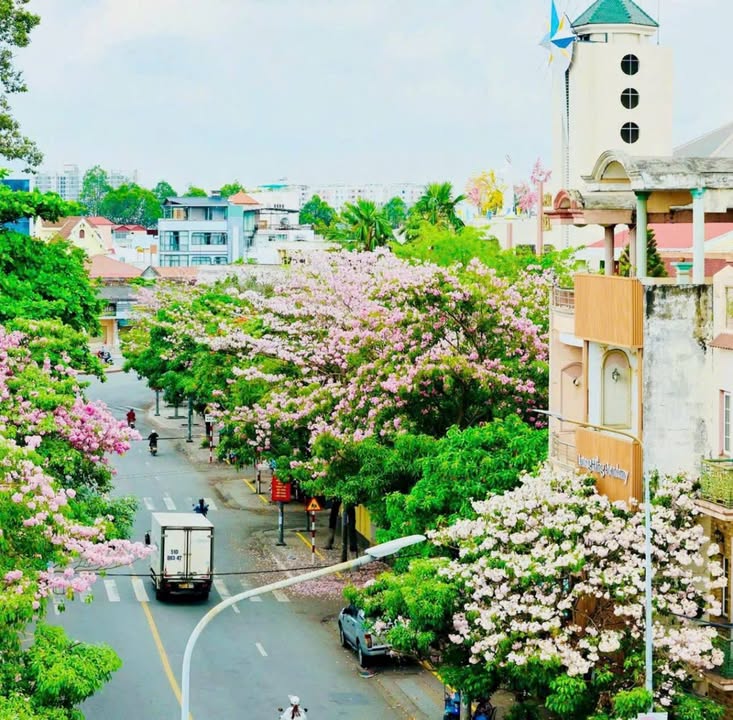 Nhà mặt tiền CMT8 Trảng Bom 148m² - Vị trí đắc địa kinh doanh ngay!