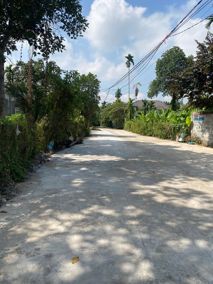 Đất Nền Biệt Thự Cù lao Hiệp Hoà Biên Hòa 2055m² - Xây dựng tự do!