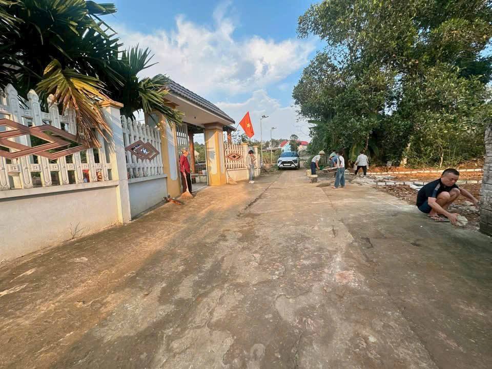 Đất nền Thọ Phú 125m² - Giá 300 triệu, Tiềm năng tăng giá!