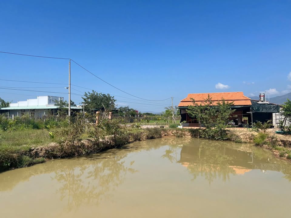 Nhà vườn Hàm Liêm 3175m² giá 2.4 tỷ - Nghỉ dưỡng lý tưởng!