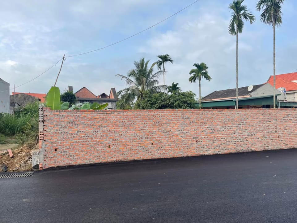 Đất nền Mạo Khê, Quảng Ninh - 100m² Sổ đỏ chính chủ - Giá tốt đầu tư