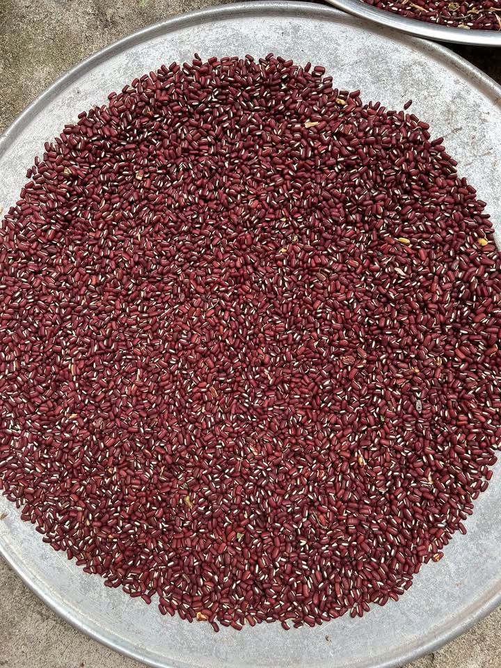 Đất nền Thành phố Kon Tum 900m² - Đất thổ cư 100%, xây dựng tự do!