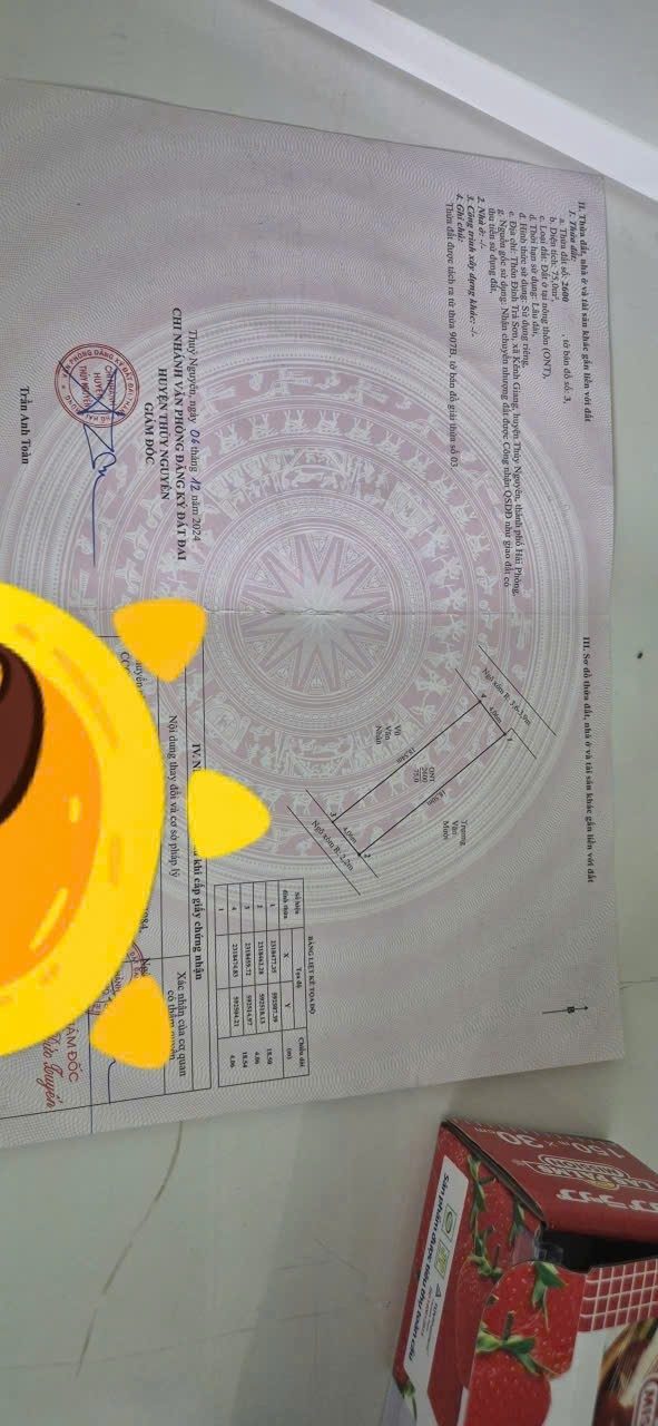 Đất nền Thuỷ Nguyên 75m² - Ngõ ô tô 7 chỗ, 2 mặt tiền!