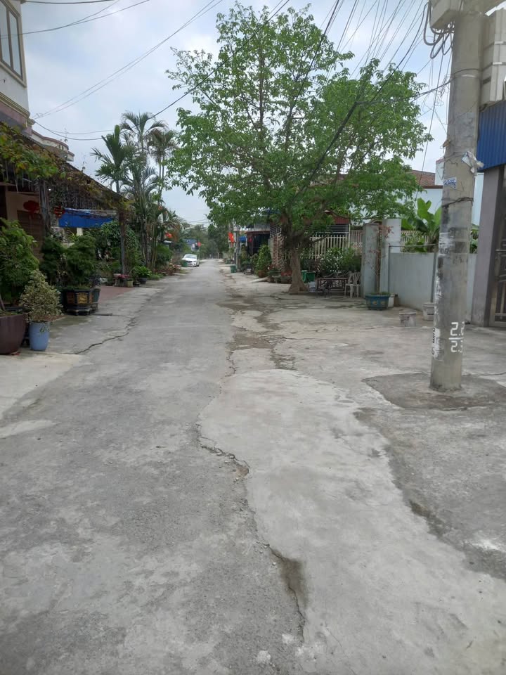 Đất mặt đường Minh Tân, Kiến Thụy, Hải Phòng - 100m² - Sẵn nhà cấp 4