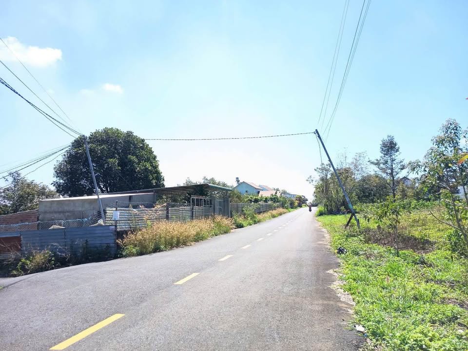 Đất nền Nguyễn Trãi Bảo Lộc 195m² - Tiềm năng tăng giá vượt trội!