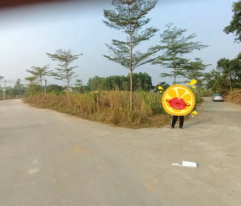 Đất nền Sông Công, Thái Nguyên 318m² - Tiềm năng tăng giá vượt trội!