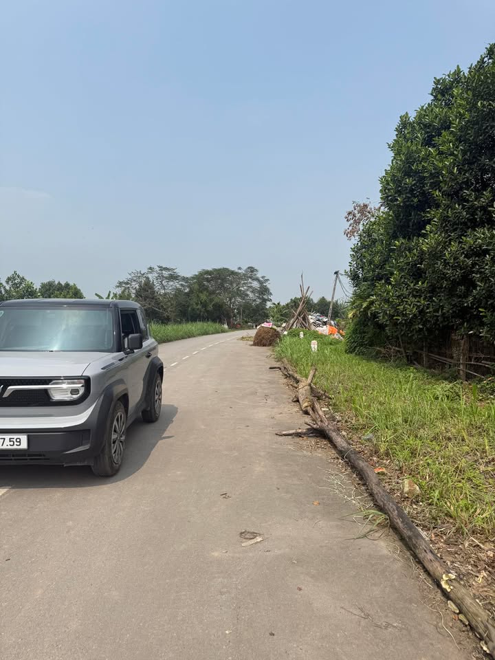 Đất nền 80m² mặt đê 417, Đan Phượng - View Sông Hồng, giá 3 tỷ