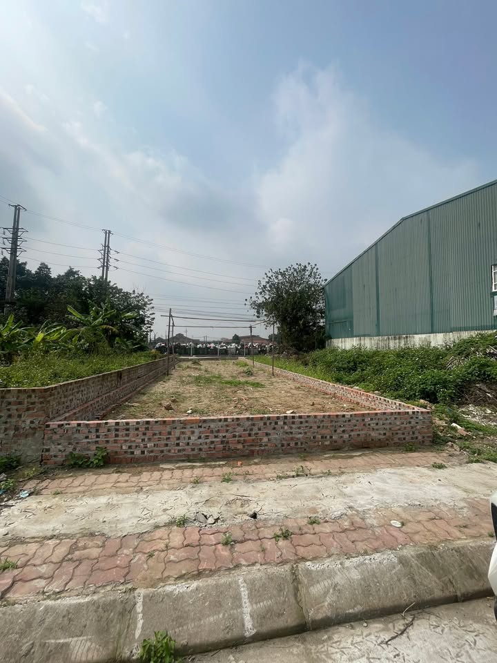 Đất nền 50m² Trạm Trôi, Hoài Đức - Sổ đỏ sẵn, ô tô tránh