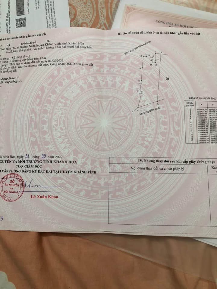 Đất vườn Xã Khánh Nam, Khánh Vĩnh 6000m² - Đầu tư dài hạn!